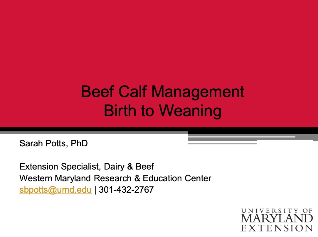 Cattle Health Management-Birth to Weaning slides