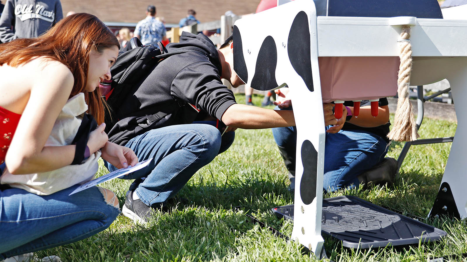 Bovine milking model