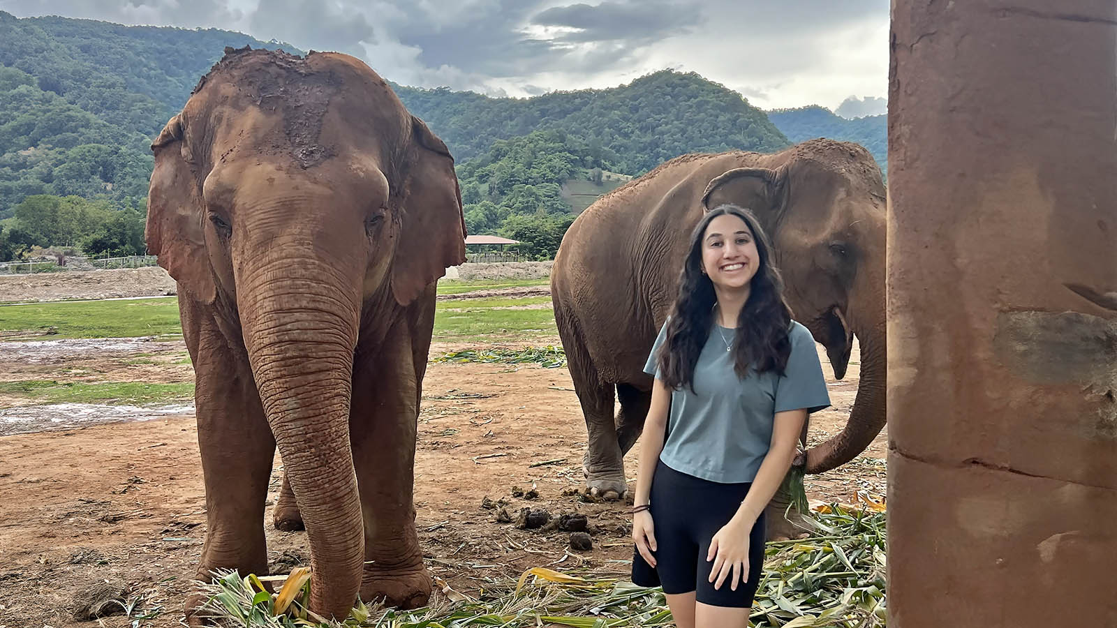 ANSC student with elephants in Thailand