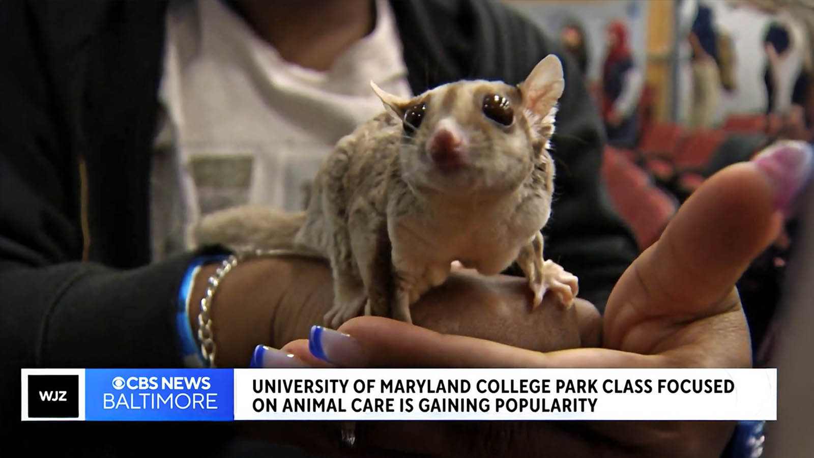 student holds sugar glider