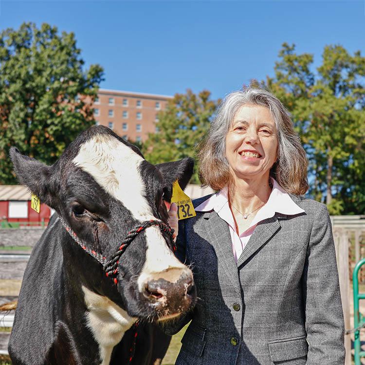 Dr. Adele Turzillo with dairy cow